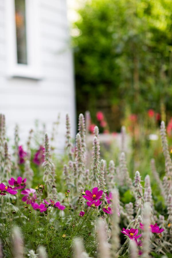 Coghill Cottage Уитианга Екстериор снимка